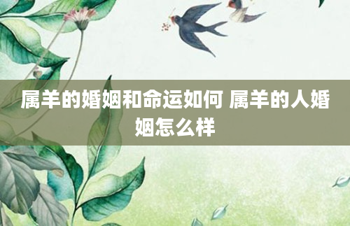属羊的婚姻和命运如何 属羊的人婚姻怎么样