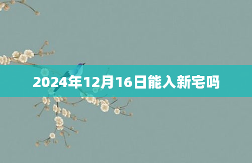 2024年12月16日能入新宅吗