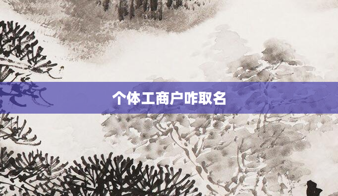 个体工商户咋取名
