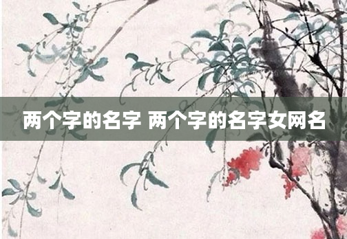 两个字的名字 两个字的名字女网名