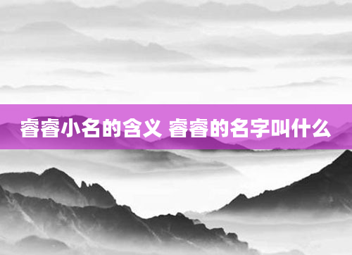 睿睿小名的含义 睿睿的名字叫什么