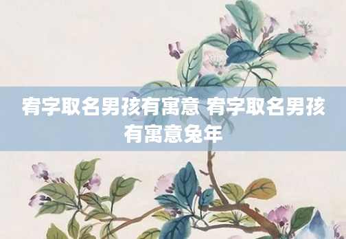 宥字取名男孩有寓意 宥字取名男孩有寓意兔年