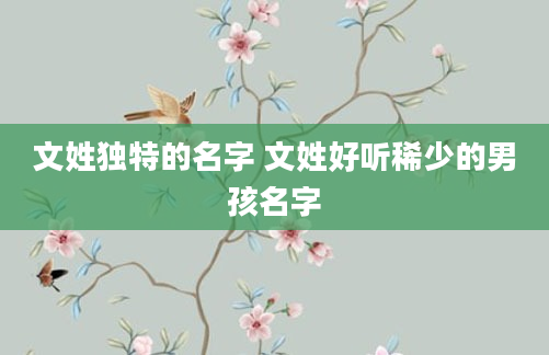 文姓独特的名字 文姓好听稀少的男孩名字