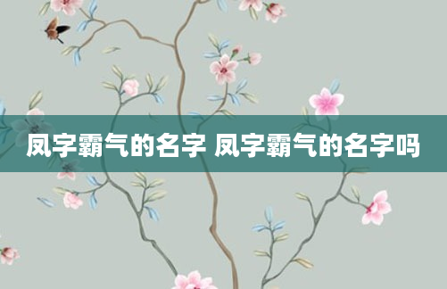 凤字霸气的名字 凤字霸气的名字吗
