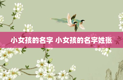 小女孩的名字 小女孩的名字姓张