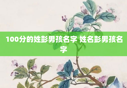 100分的姓彭男孩名字 姓名彭男孩名字