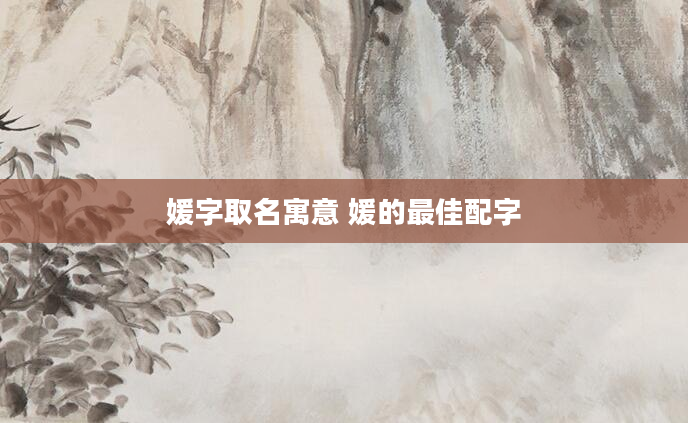 媛字取名寓意 媛的最佳配字