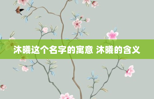 沐曦这个名字的寓意 沐曦的含义