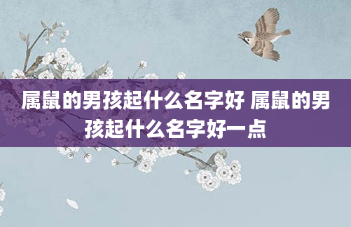 属鼠的男孩起什么名字好 属鼠的男孩起什么名字好一点