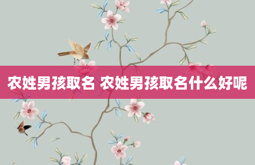 农姓男孩取名 农姓男孩取名什么好呢