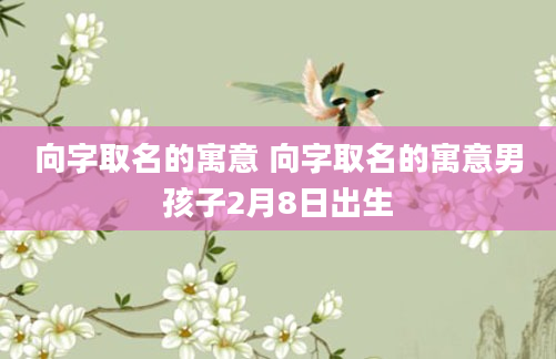 向字取名的寓意 向字取名的寓意男孩子2月8日出生