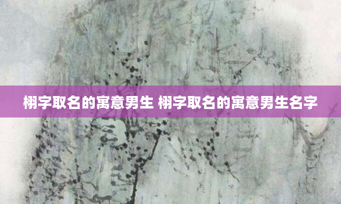 栩字取名的寓意男生 栩字取名的寓意男生名字