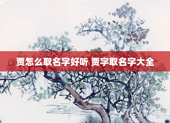 贾怎么取名字好听 贾字取名字大全