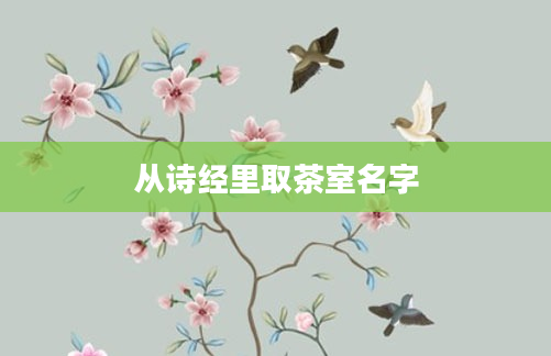 从诗经里取茶室名字