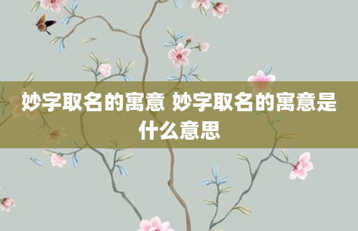 妙字取名的寓意 妙字取名的寓意是什么意思