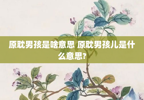 原耽男孩是啥意思 原耽男孩儿是什么意思?