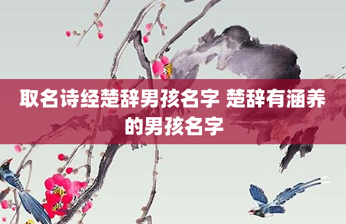 取名诗经楚辞男孩名字 楚辞有涵养的男孩名字