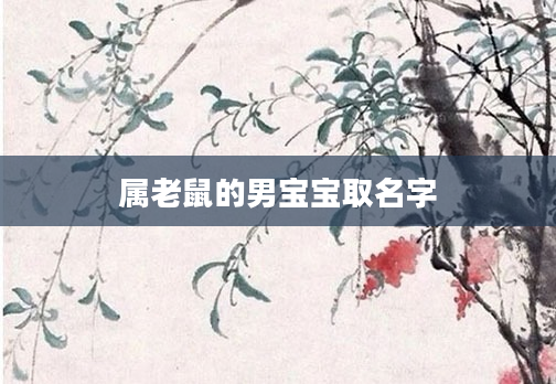 属老鼠的男宝宝取名字