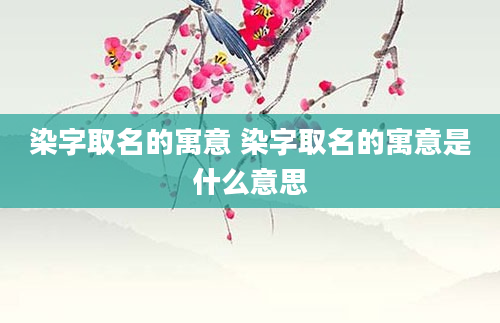染字取名的寓意 染字取名的寓意是什么意思