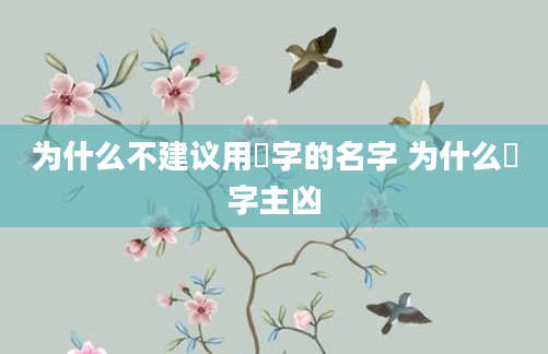 为什么不建议用彧字的名字 为什么彧字主凶