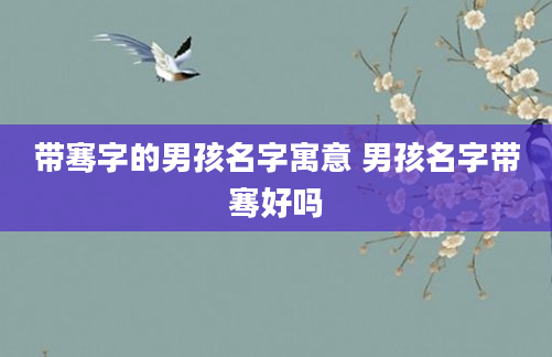 带骞字的男孩名字寓意 男孩名字带骞好吗