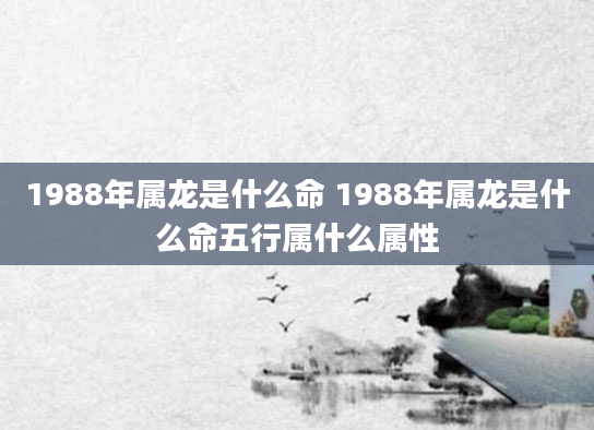 1988年属龙是什么命 1988年属龙是什么命五行属什么属性