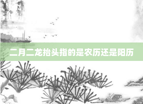 二月二龙抬头指的是农历还是阳历