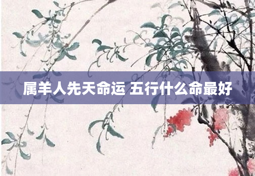 属羊人先天命运 五行什么命最好
