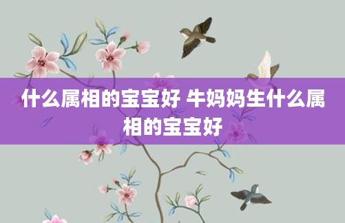什么属相的宝宝好 牛妈妈生什么属相的宝宝好