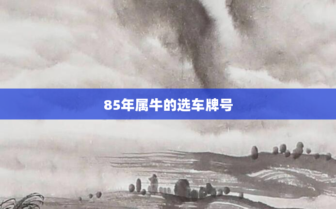 85年属牛的选车牌号