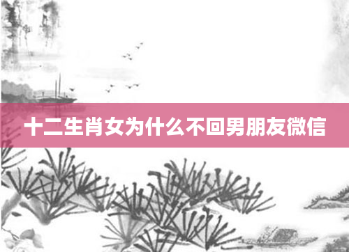 十二生肖女为什么不回男朋友微信