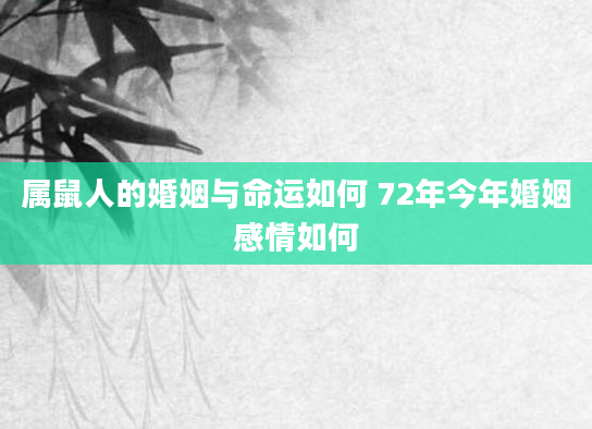 属鼠人的婚姻与命运如何 72年今年婚姻感情如何