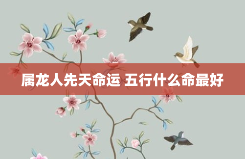 属龙人先天命运 五行什么命最好