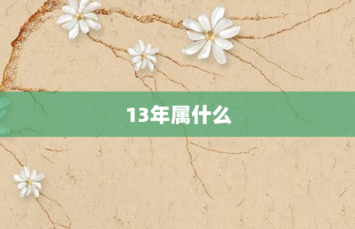 13年属什么