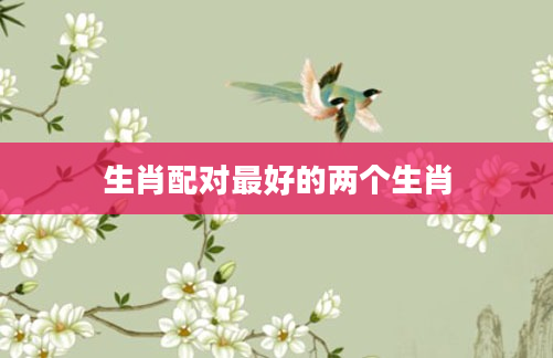 生肖配对最好的两个生肖