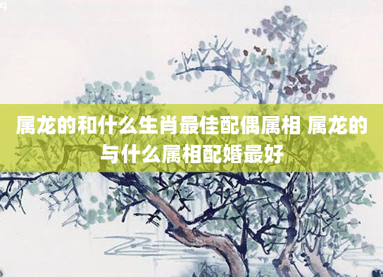 属龙的和什么生肖最佳配偶属相 属龙的与什么属相配婚最好