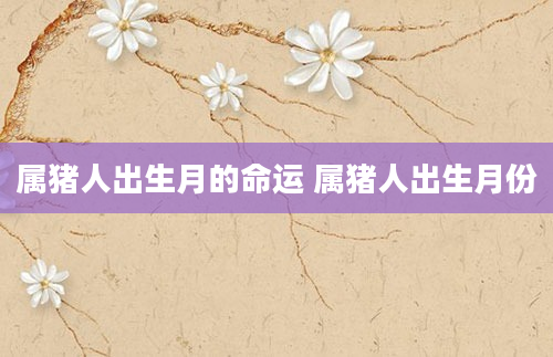 属猪人出生月的命运 属猪人出生月份