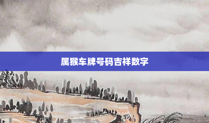 属猴车牌号码吉祥数字