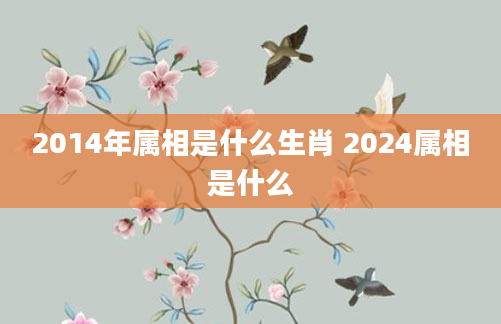 2014年属相是什么生肖 2024属相是什么