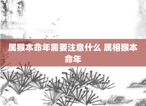 属猴本命年需要注意什么 属相猴本命年