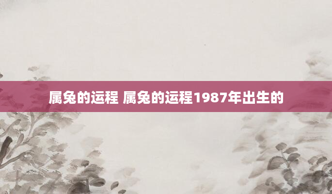 属兔的运程 属兔的运程1987年出生的