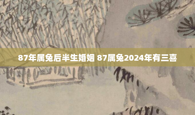 87年属兔后半生婚姻 87属兔2024年有三喜