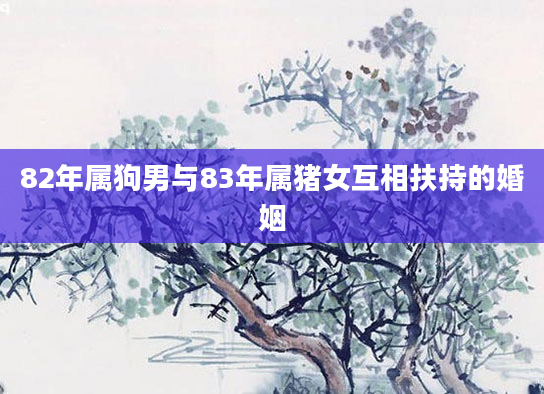 82年属狗男与83年属猪女互相扶持的婚姻