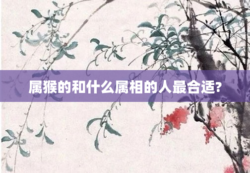 属猴的和什么属相的人最合适?