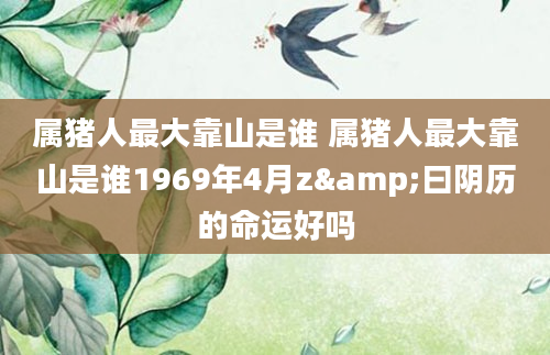 属猪人最大靠山是谁 属猪人最大靠山是谁1969年4月z&曰阴历的命运好吗