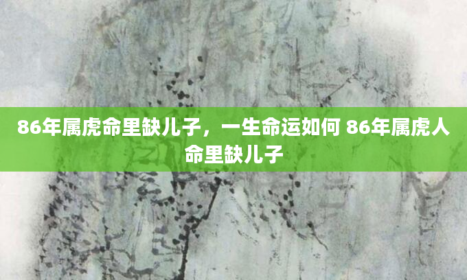 86年属虎命里缺儿子,一生命运如何 86年属虎人命里缺儿子