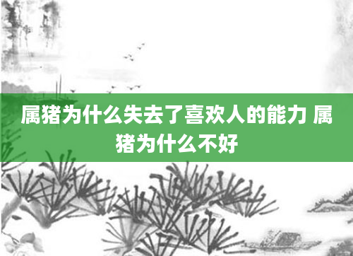 属猪为什么失去了喜欢人的能力 属猪为什么不好