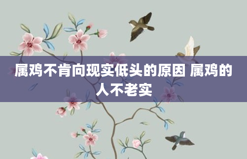 属鸡不肯向现实低头的原因 属鸡的人不老实
