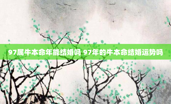 97属牛本命年能结婚吗 97年的牛本命结婚运势吗