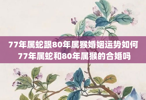 77年属蛇跟80年属猴婚姻运势如何 77年属蛇和80年属猴的合婚吗
